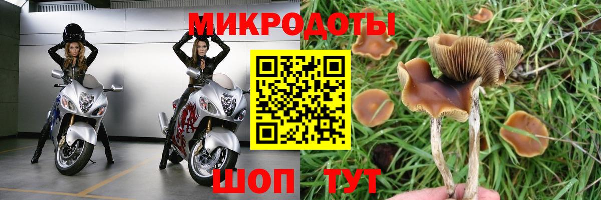 Псилоцибиновые грибы Magic Shrooms Киржач