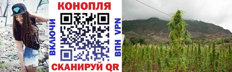 Каннабис семена  omg ссылки  Киржач 